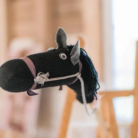 Vakantiehuis Hof Koehne - Landvergnuegen Rechts *