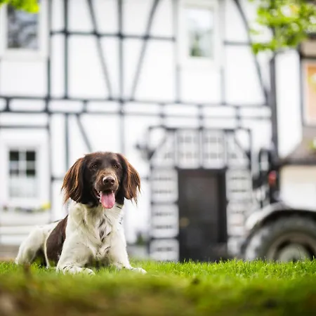 Hof Koehne - Landvergnuegen Rechts Vakantiehuis *