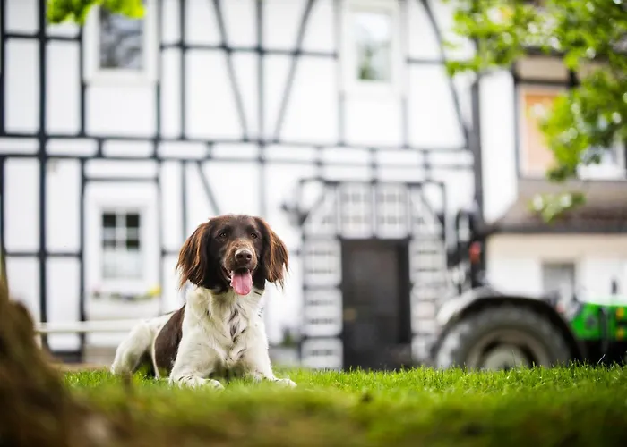 Hof Köhne - Landvergnügen Rechts Сasa de vacaciones *