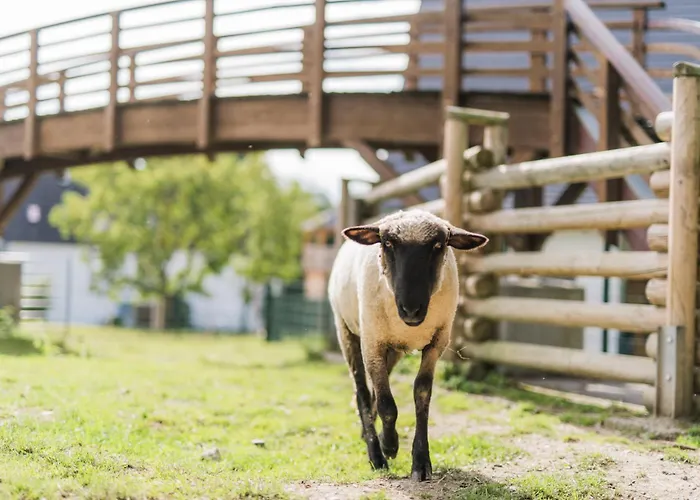 Hof Köhne - Landvergnügen Rechts