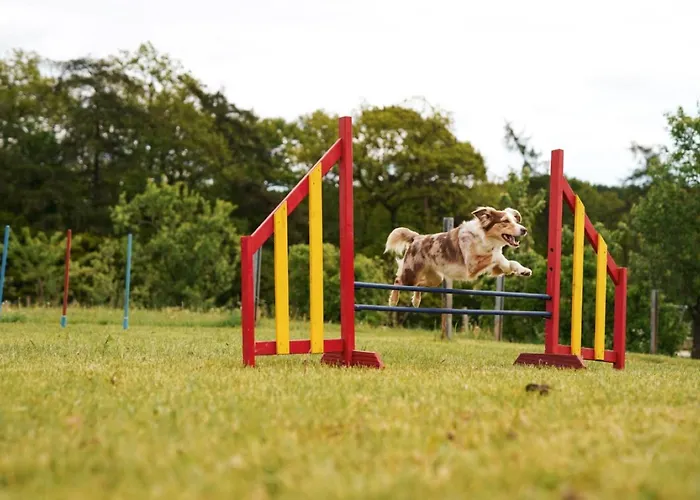 Hof Köhne - Landvergnügen Rechts * Schmallenberg