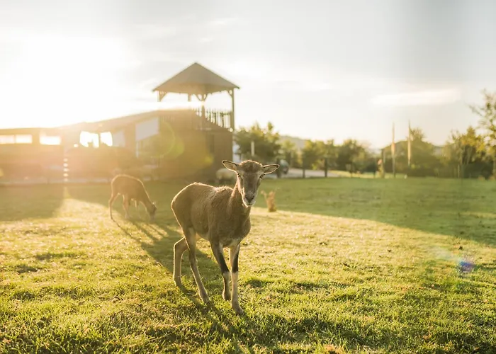 Hof Köhne - Landvergnügen Rechts